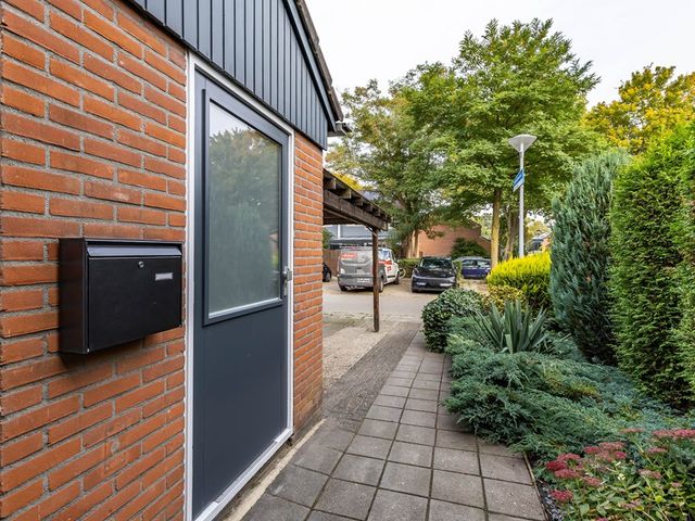 Orchideestraat 135, Groningen