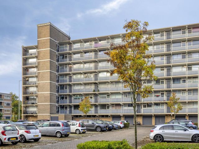 Wilgenhoek 43, Capelle Aan Den IJssel