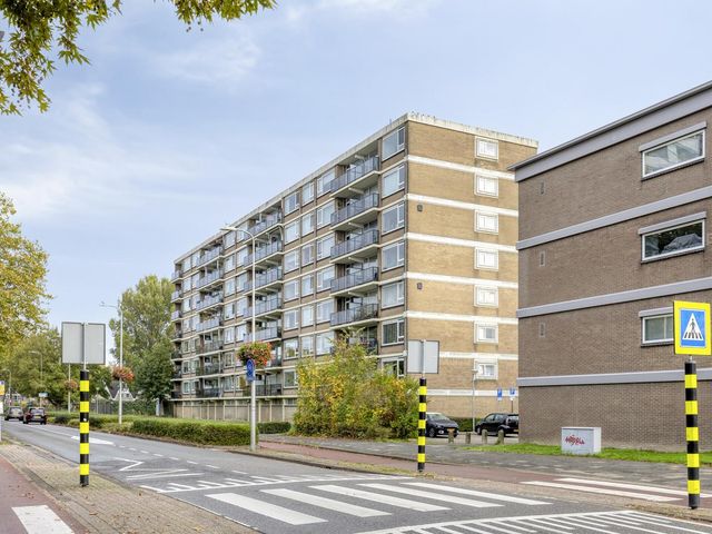 Wilgenhoek 43, Capelle Aan Den IJssel