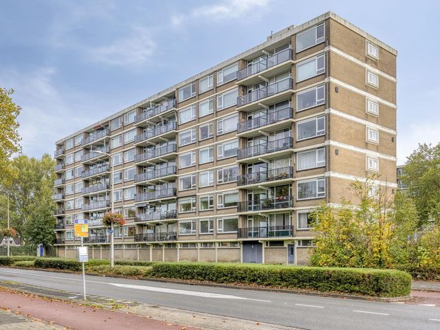 Wilgenhoek 43, Capelle Aan Den IJssel