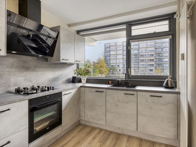 Wilgenhoek 43, Capelle Aan Den IJssel