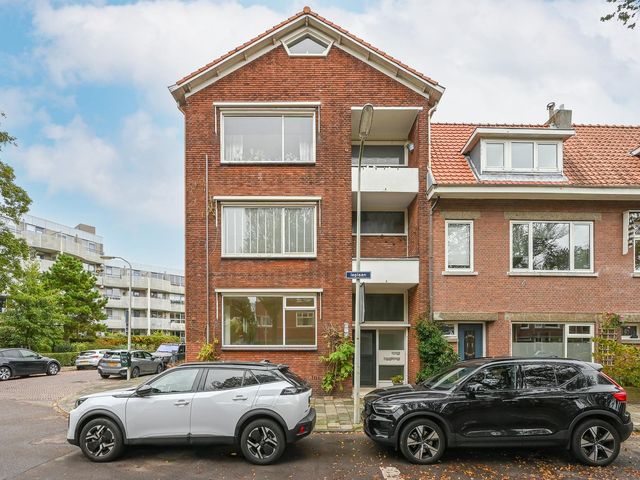 Ieplaan 133, 's-Gravenhage