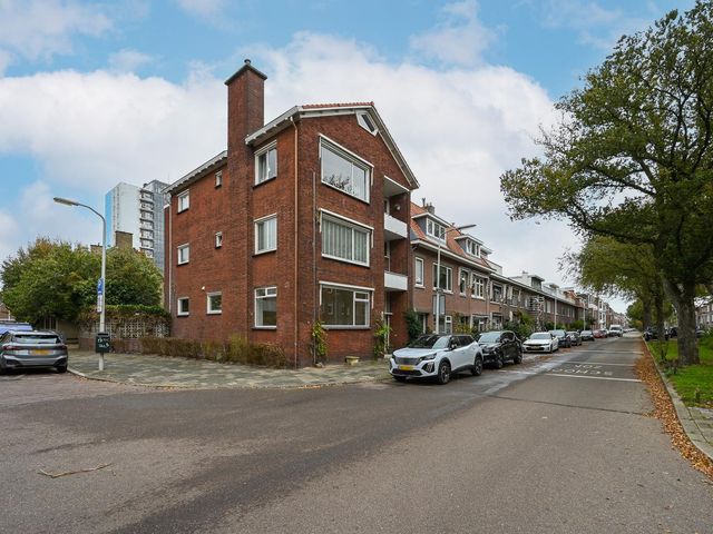 Ieplaan 133, 's-Gravenhage