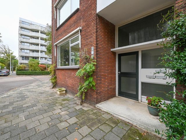 Ieplaan 133, 's-Gravenhage
