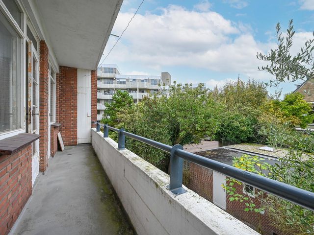 Ieplaan 133, 's-Gravenhage