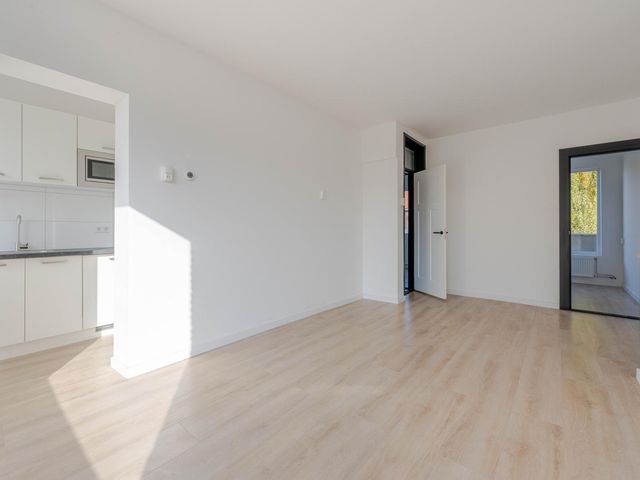 Meerkoetstraat 65, Rotterdam