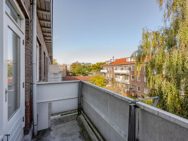 Meerkoetstraat 65, Rotterdam