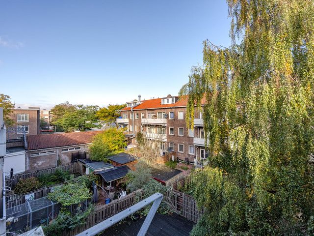 Meerkoetstraat 65, Rotterdam