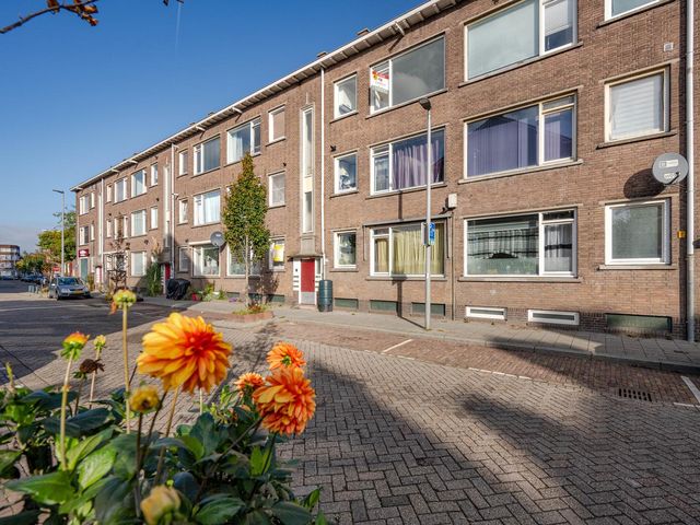 Meerkoetstraat 65, Rotterdam