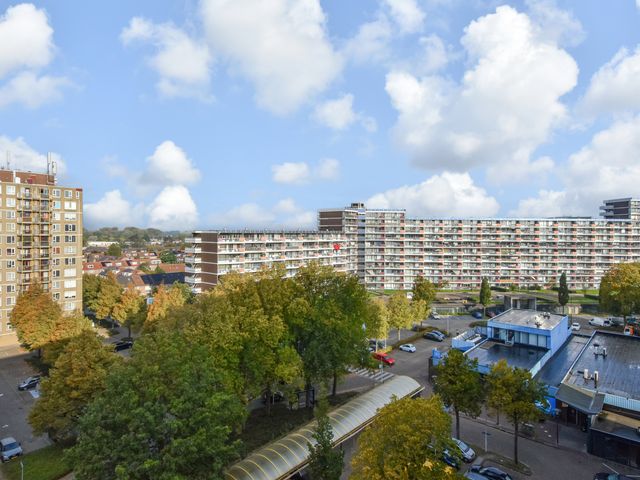 Bagijnenwaard 168, Zoetermeer