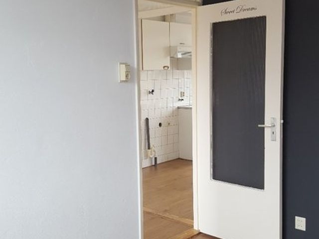 Tamarindestraat 29, Terneuzen