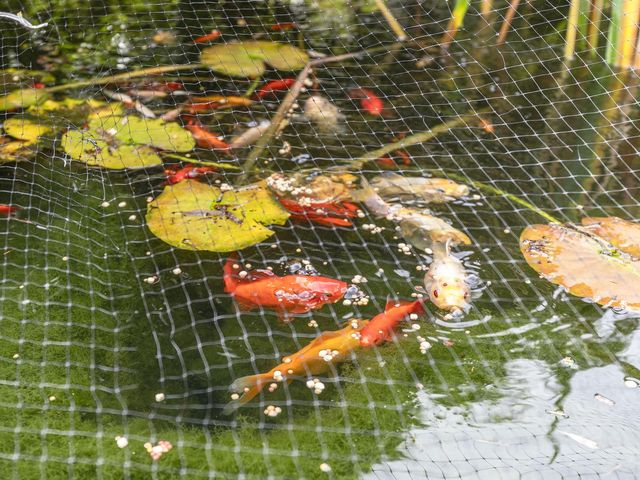 Van Langendonckstraat 35, Rotterdam