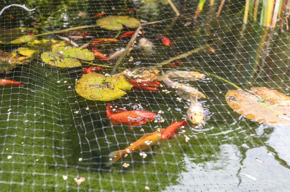 Van Langendonckstraat 35