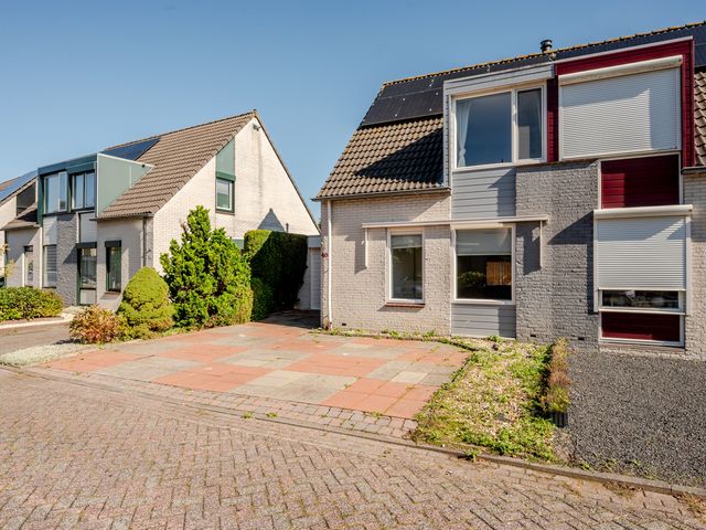 De Sallandse Roe 40, Dronten