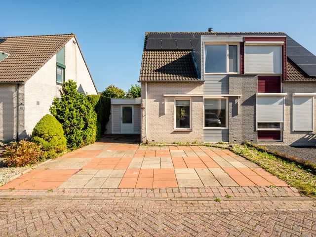 De Sallandse Roe 40, Dronten