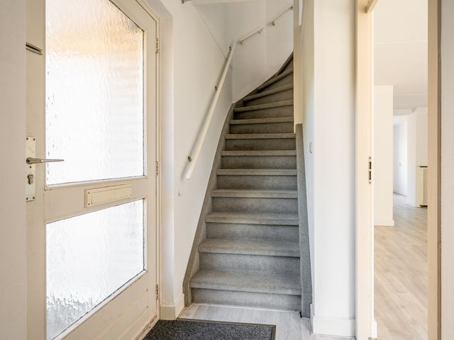 De Sallandse Roe 40, Dronten