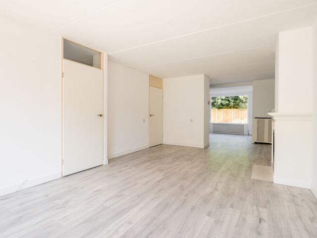 De Sallandse Roe 40, Dronten