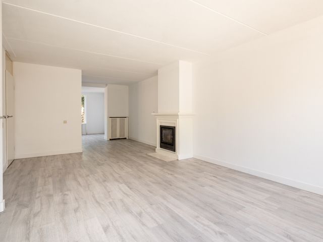 De Sallandse Roe 40, Dronten