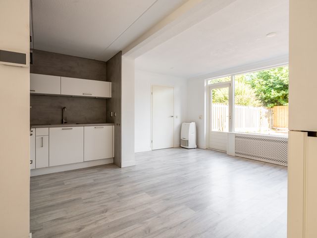 De Sallandse Roe 40, Dronten