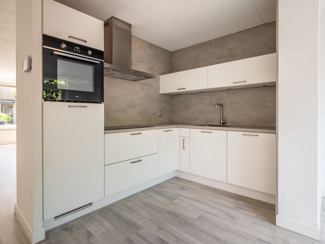 De Sallandse Roe 40, Dronten