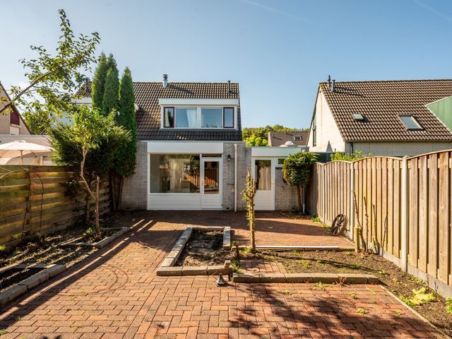 De Sallandse Roe 40, Dronten