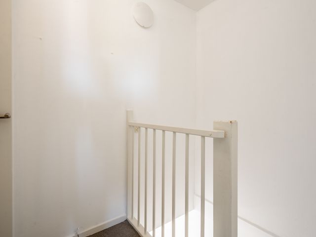 De Sallandse Roe 40, Dronten