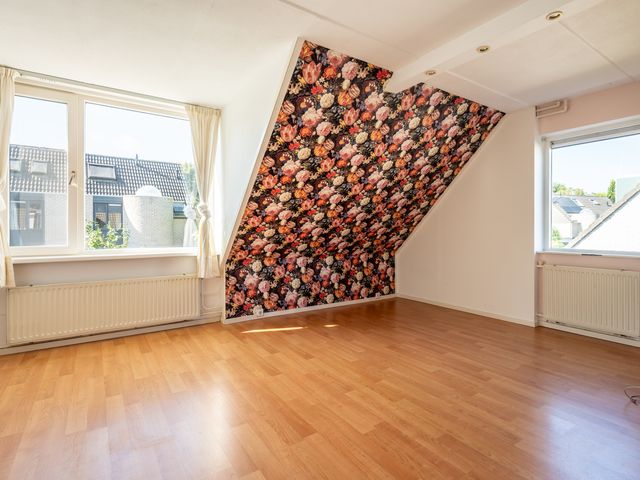 De Sallandse Roe 40, Dronten