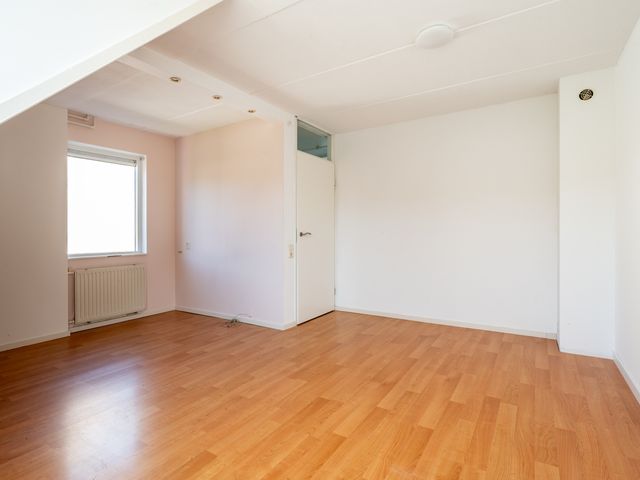 De Sallandse Roe 40, Dronten