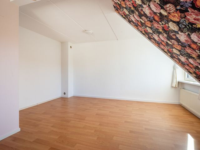 De Sallandse Roe 40, Dronten