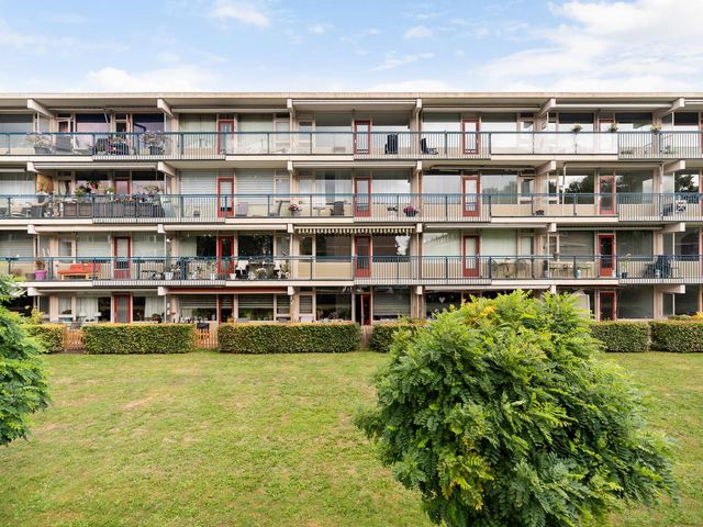 Bredenoord 242, Rotterdam