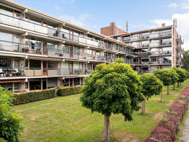 Bredenoord 242, Rotterdam