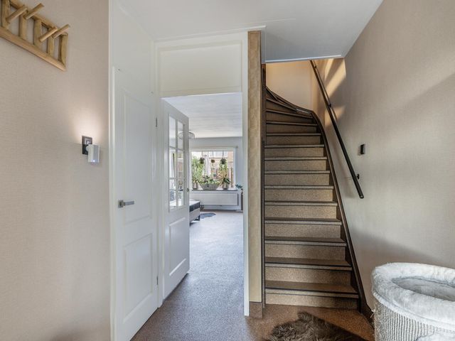 Boswei 6, Stavenisse