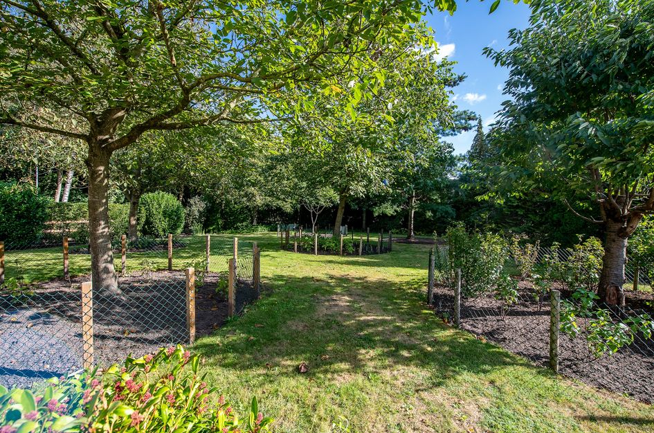 Jipsingboertangerweg 143