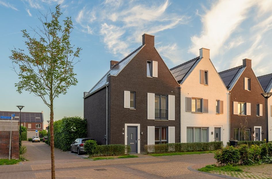 Haagwinde 14