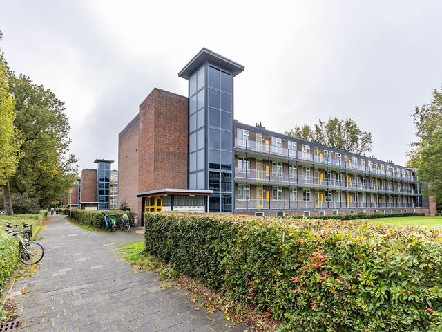 Verzetsstrijderslaan 160, Groningen