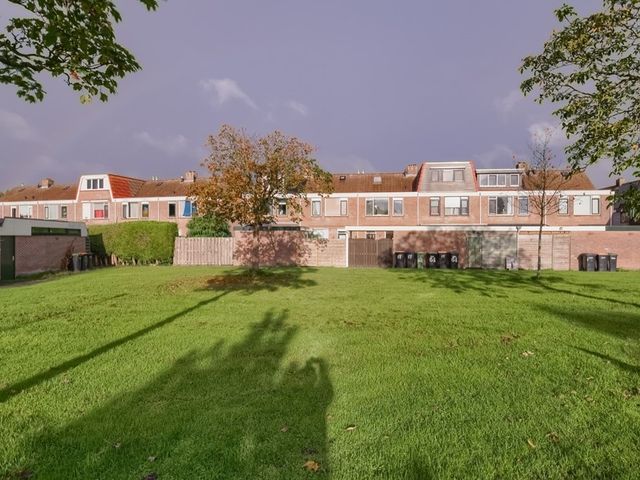 Wieken 62, Avenhorn