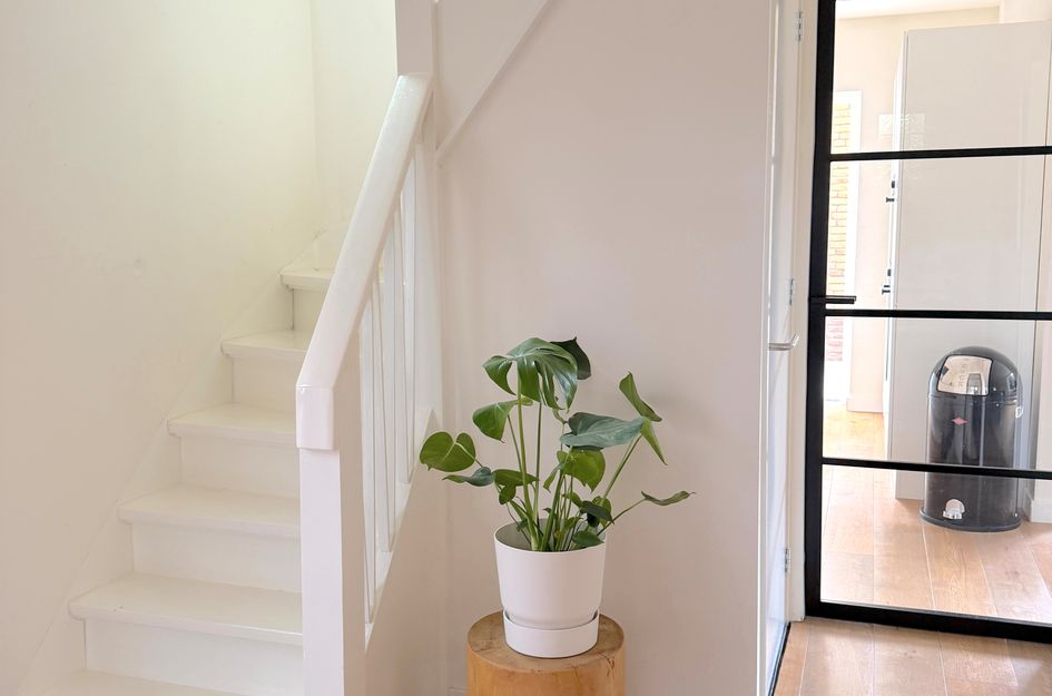 Meester Van Coothlaan 37