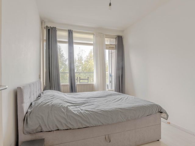 Plein 1953 155, Rotterdam