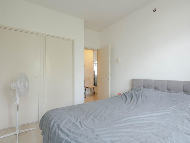 Plein 1953 155, Rotterdam