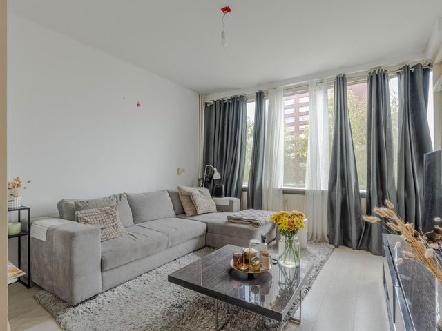 Plein 1953 155, Rotterdam