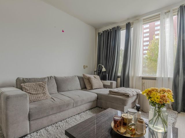 Plein 1953 155, Rotterdam