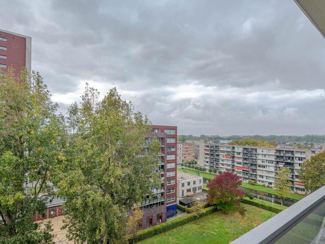 Plein 1953 155, Rotterdam