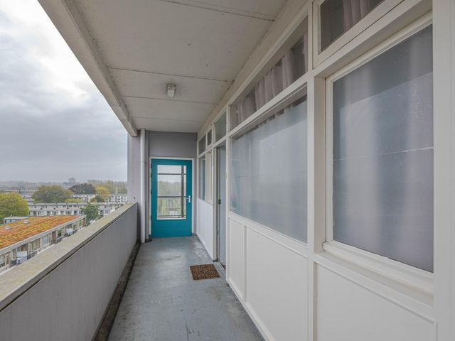 Plein 1953 155, Rotterdam