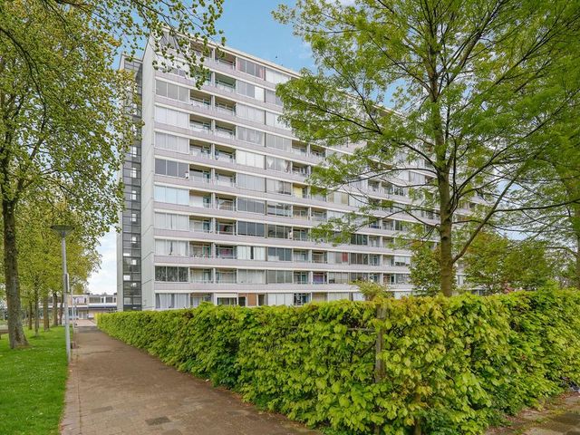 Plein 1953 155, Rotterdam