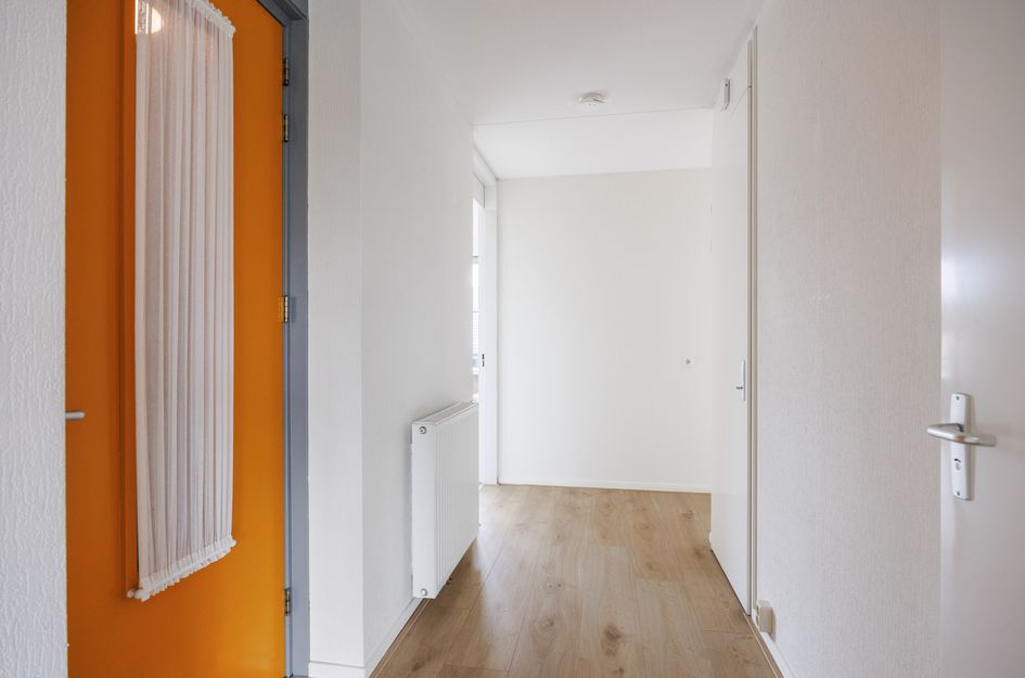 Reint Dijkemastraat 19