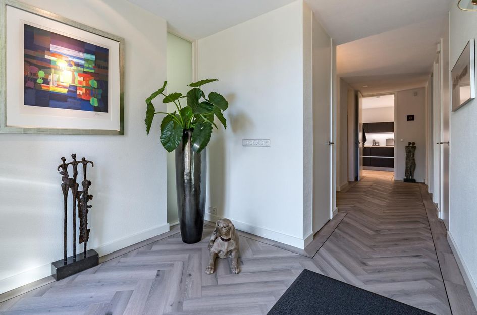 van Limburg Stirumstraat 4