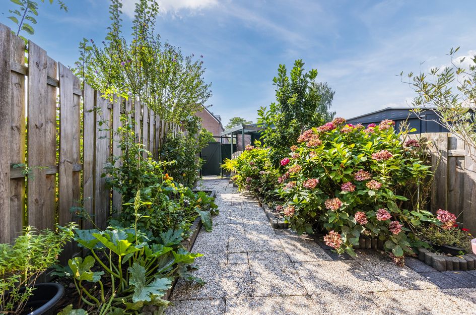 Zevenkampse Ring 594