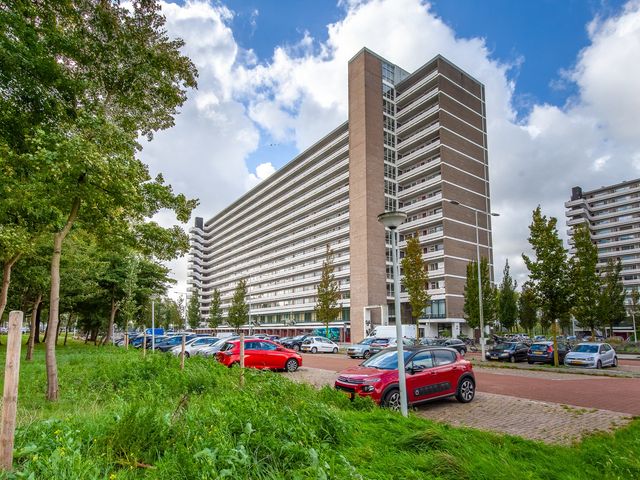 Burgemeester Hogguerstraat 261, Amsterdam