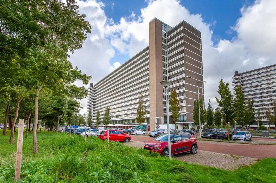 Burgemeester Hogguerstraat 261