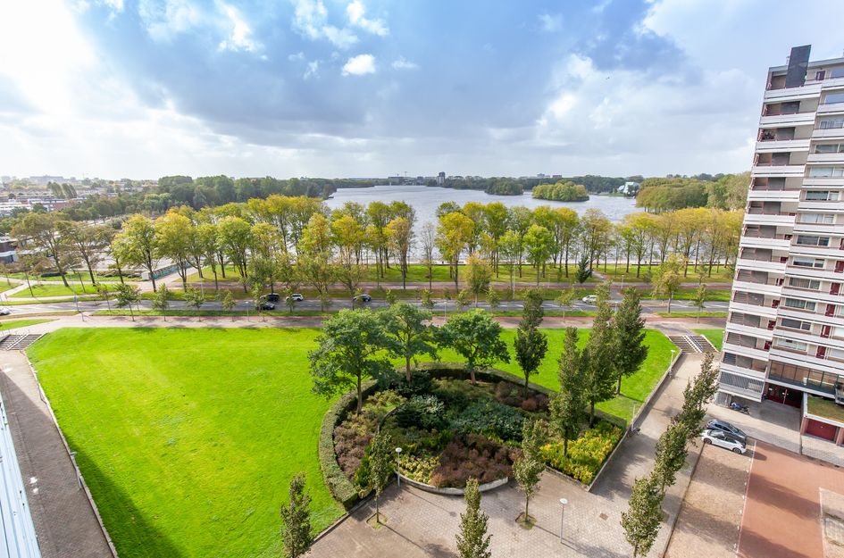 Burgemeester Hogguerstraat 261